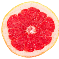 Website - Grapefruit