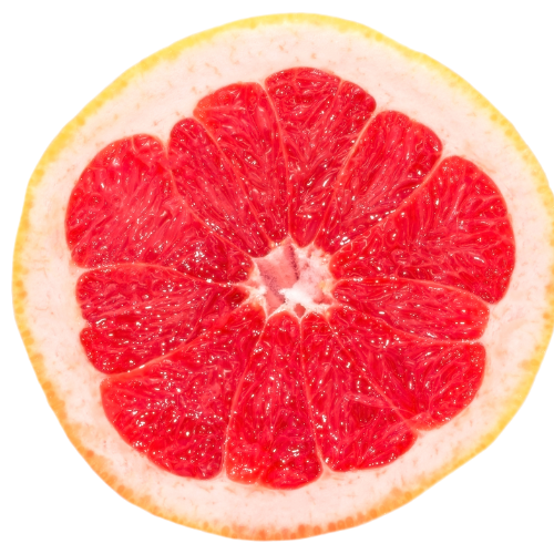 Website - Grapefruit